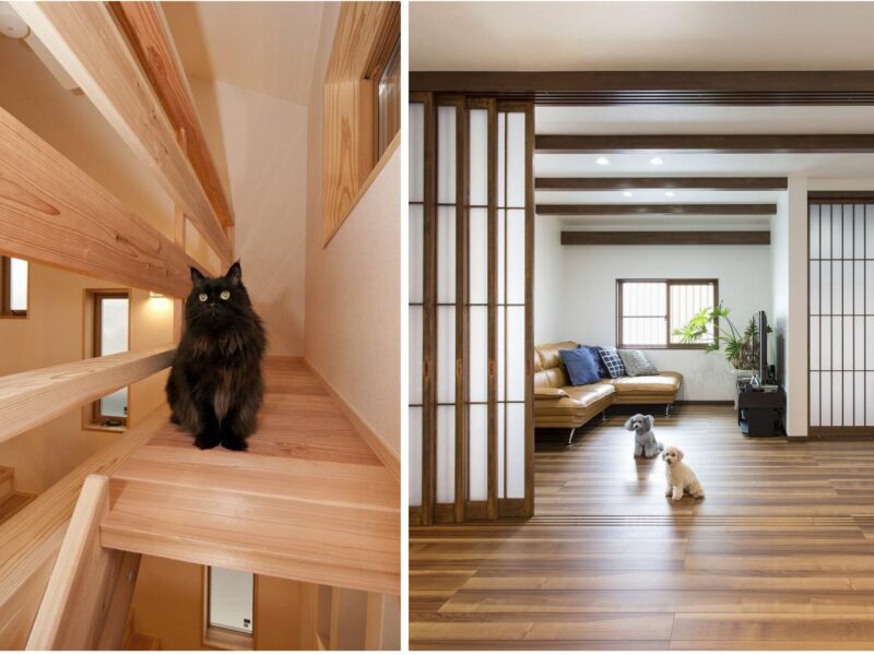 家族✕ペットにやさしい家づくり~すこやかペット~のご紹介